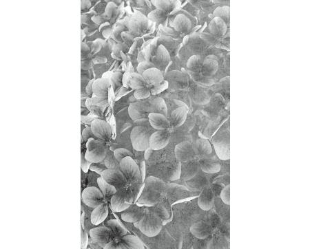 Vlies Fototapete - Apfelbaum Abstrakt lll 150 x 250 cm 