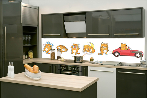 Küchenrückwand Folie - Katzenemotionen 260 x 60 cm