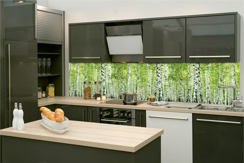 Küchenrückwand Folie - Frühlingsbirkenwald 260 x 60 cm