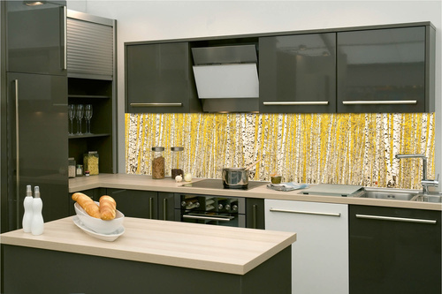 Küchenrückwand Folie - Gelbe Birke 260 x 60 cm