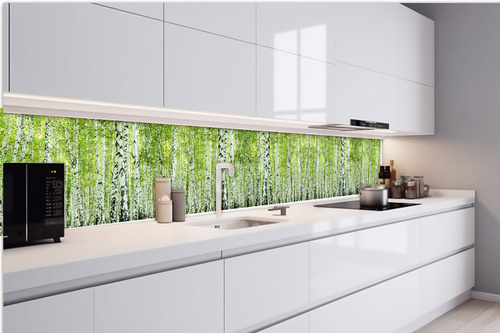 Küchenrückwand Folie - Frühlingsbirkenwald 420 x 60 cm